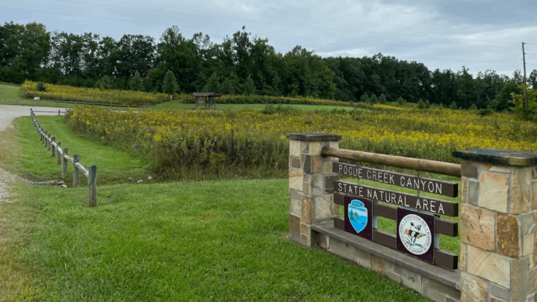 11 Lesser-Known Places in Tennessee That Feel Like Your Own Secret Discoveries