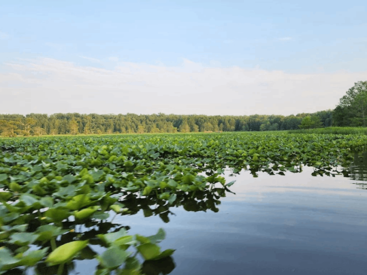 11 Underrated Things To Do In Tennessee That Even Locals Will Find Surprising