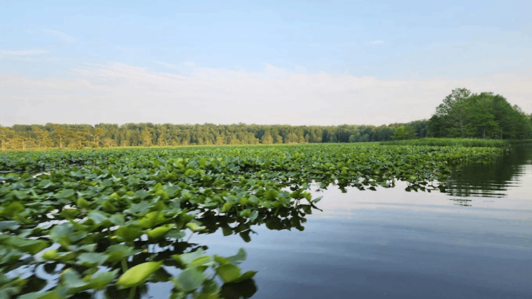 11 Underrated Things To Do In Tennessee That Even Locals Will Find Surprising