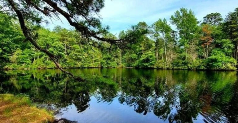 11 Hidden Lakes in New Jersey That Locals Love and Tourists Overlook