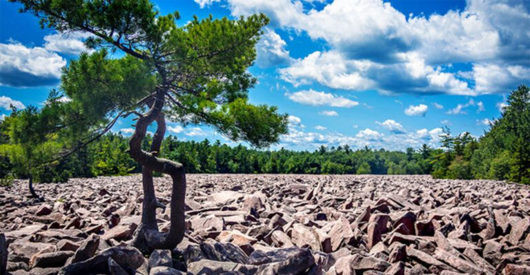 11 Incredible Natural Wonders You’ll Only Find In Pennsylvania