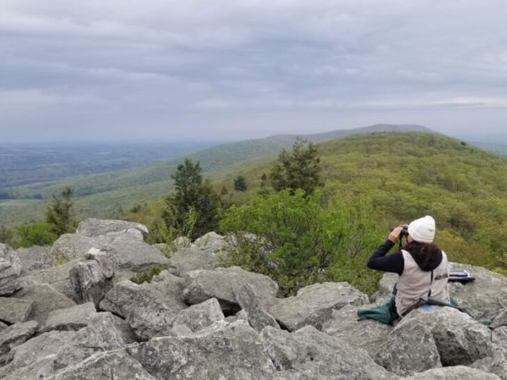 11 Incredible Pennsylvania Road Trips That Are Surprisingly Affordable