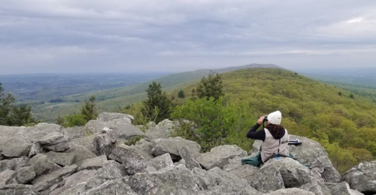 11 Incredible Pennsylvania Road Trips That Are Surprisingly Affordable