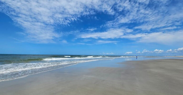 11 North Carolina Beaches Where Nature Still Feels Truly Untouched