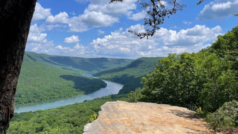 12 Tennessee Adventures That Feel Priceless But Cost Less Than $30