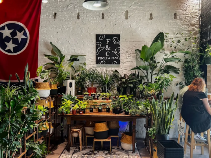 12 Tennessee Cafés That Serve Serious Summer Vibes In May