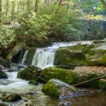 12 Tennessee Creekside Trails That Turn An Ordinary Hike Into A Refreshing Escape