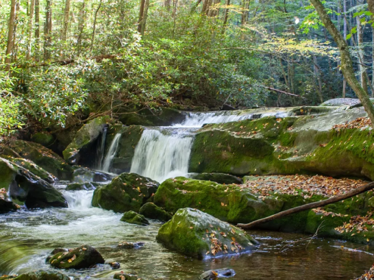 12 Tennessee Creekside Trails That Turn An Ordinary Hike Into A Refreshing Escape