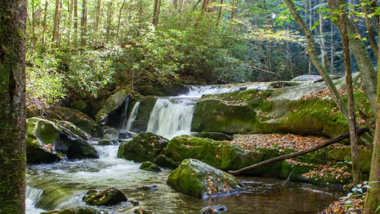 12 Tennessee Creekside Trails That Turn An Ordinary Hike Into A Refreshing Escape