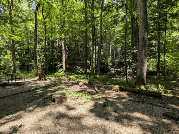 12 Tennessee Picnic Spots So Scenic, They Belong on Your 2026 Calendar