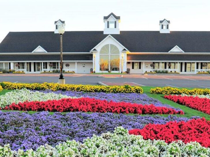 12 Amish Style Restaurants Across Ohio Where The Food Tastes Truly Homemade