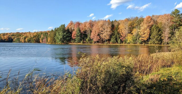 12 Pennsylvania Waterfront Campgrounds With Perfect Swim Beaches