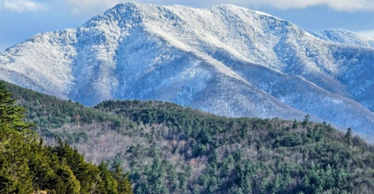 12 Tennessee Forests That Feel Like the Last Untouched Places