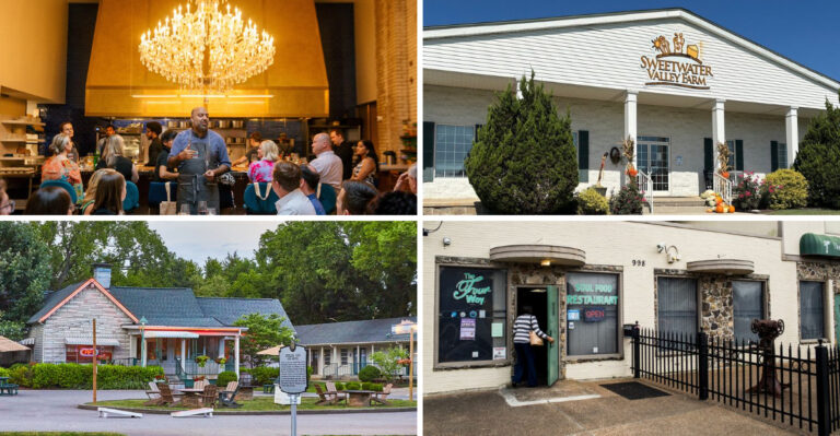 14 Tucked-Away Patios in Tennessee With Food That Keeps People Coming Back