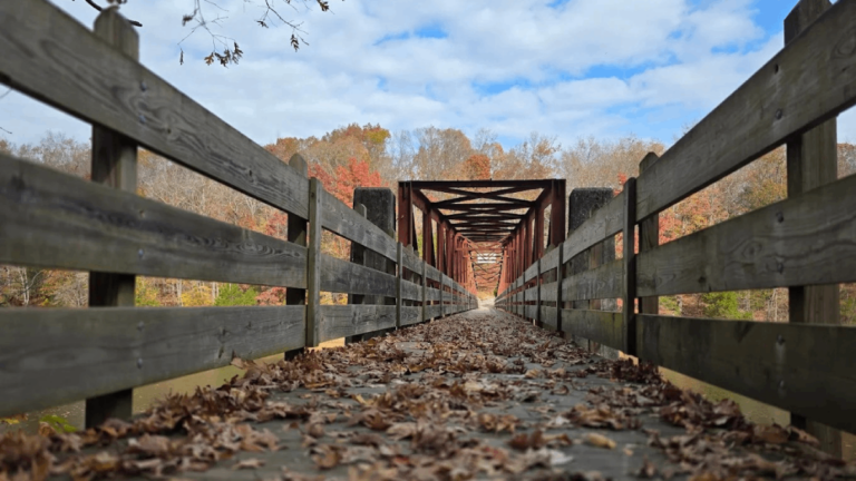 13 Tennessee State Parks With Scenic Walks, Lake Views, and Waterfalls to Explore