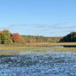 13 Beginner-Friendly Hikes in Pennsylvania With Incredible Views