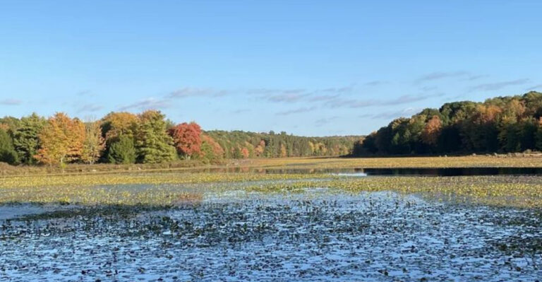 13 Beginner-Friendly Hikes in Pennsylvania With Incredible Views