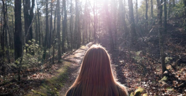 13 Easy Spring Hikes in Tennessee That Come With Gorgeous Views