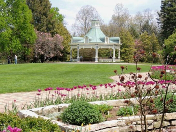 13 Ohio Spring Stops That Make May Drives Even More Scenic And Photo-Worthy