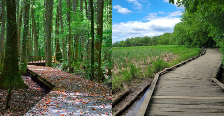 14 Pennsylvania Trails With Scenic Boardwalks and Wildlife Encounters