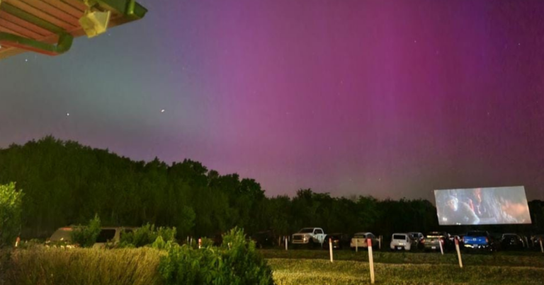 This Classic Tennessee Drive-In Still Shows First-Run Films Under the Stars