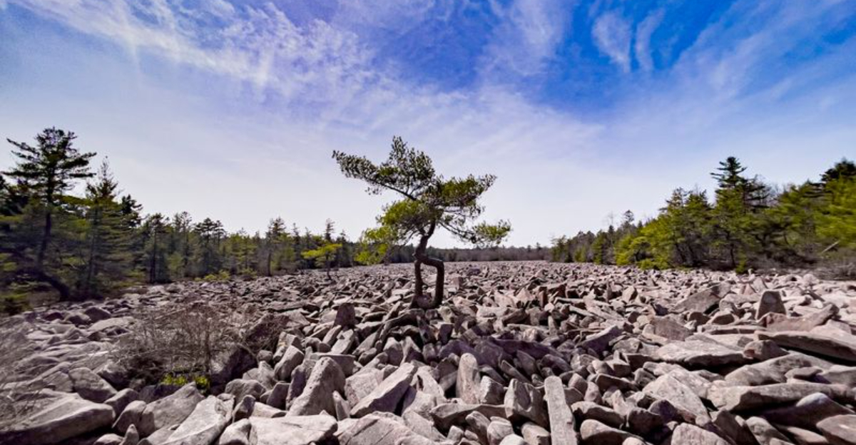 15 Breathtaking Pennsylvania Rock Formations To Experience Up Close