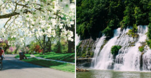 15 Tennessee Places That Turn Absolutely Gorgeous Every Spring