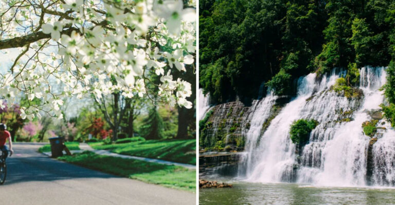 15 Tennessee Places That Turn Absolutely Gorgeous Every Spring