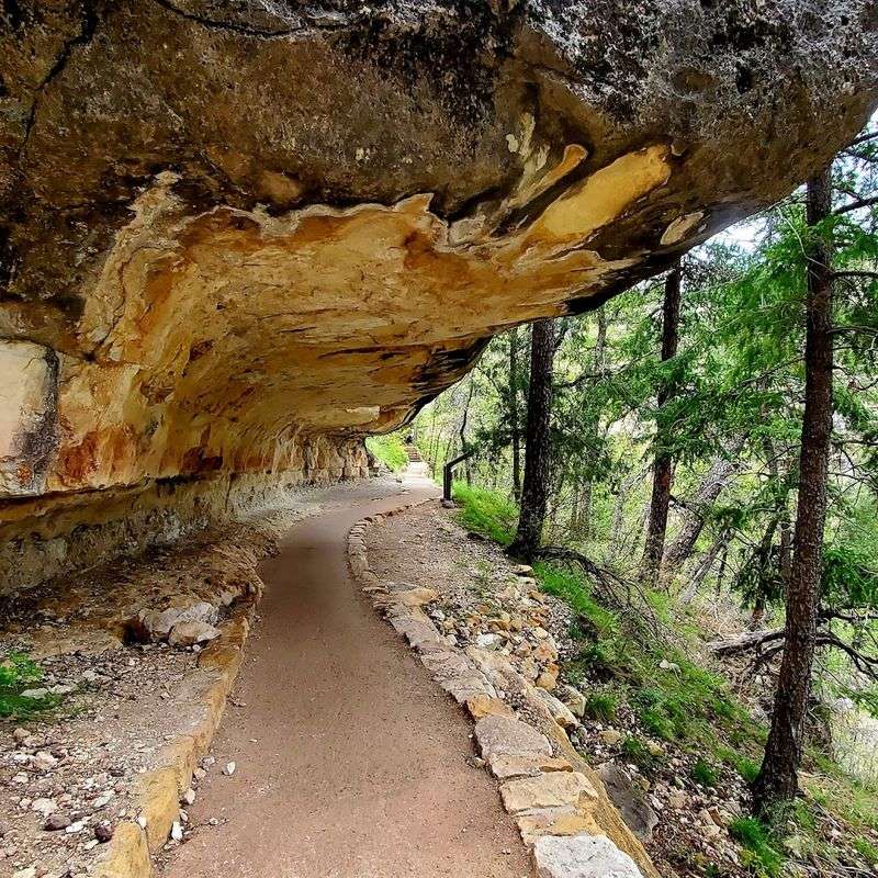 Plants, Wildlife, and the Canyon&rsquo;s Quiet Side