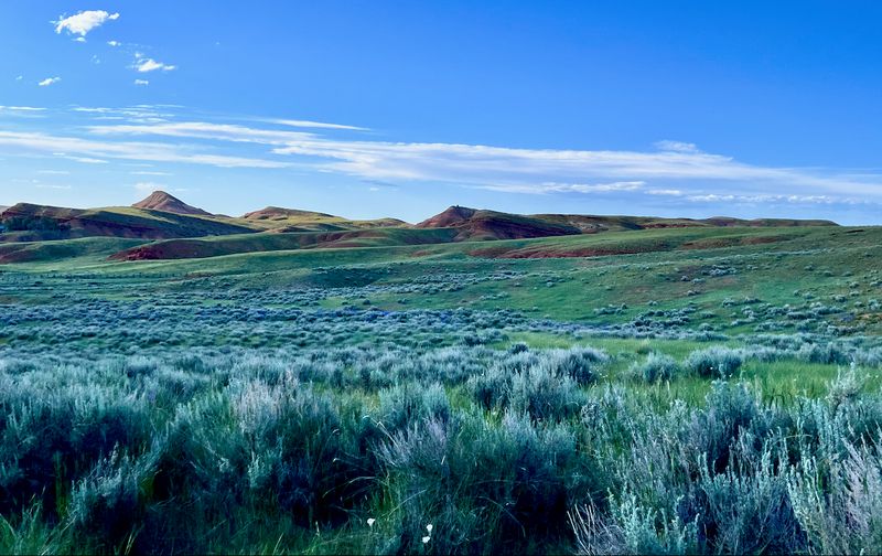 When To Go and How Long To Soak