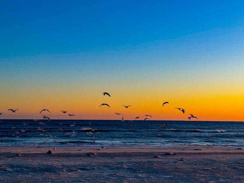 Robert Moses State Park Beach (Fire Island, Long Island)