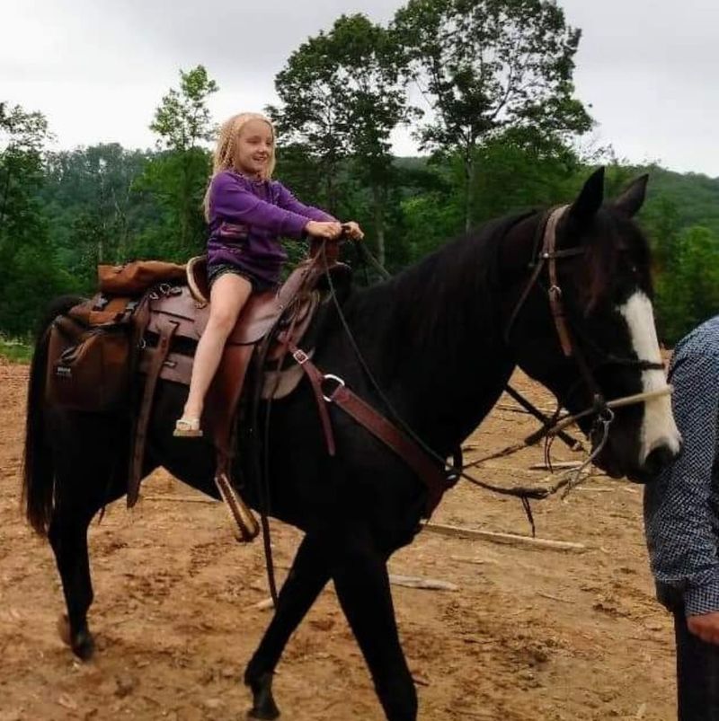 Trail Riding in the Brushy Mountain Foothills