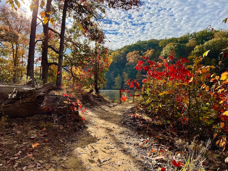 Ogle Lake Trail 7 (Brown County State Park)