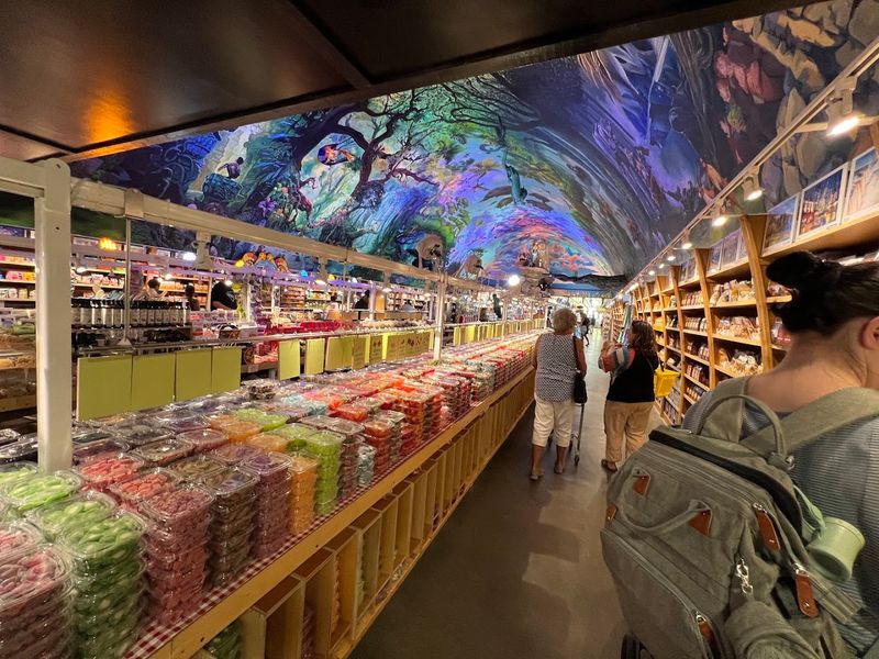 Family Fun And Photo Moments