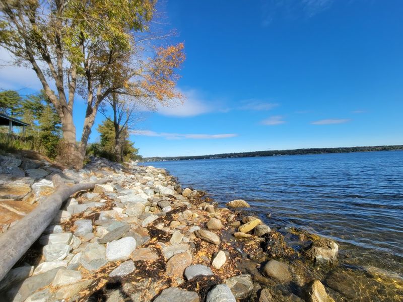 Belfast Beach (Belfast)