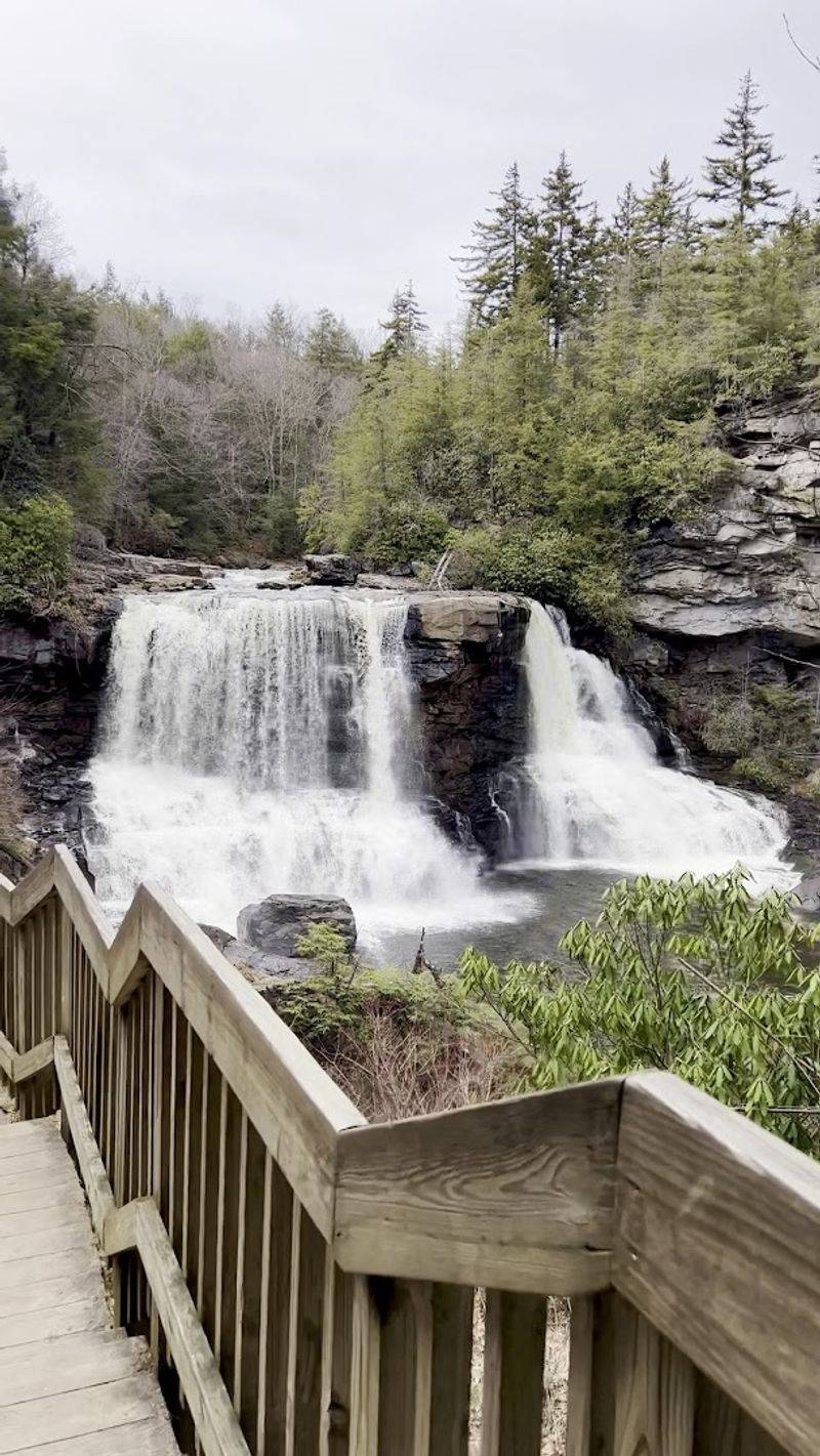 Blackwater Falls State Park (Tucker County)