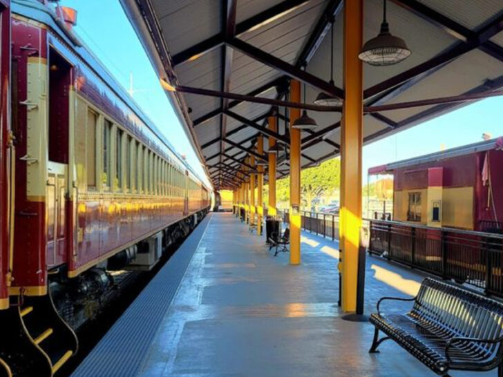 5 Scenic Train Rides Across Texas Worth Adding to Your Travel List This Year