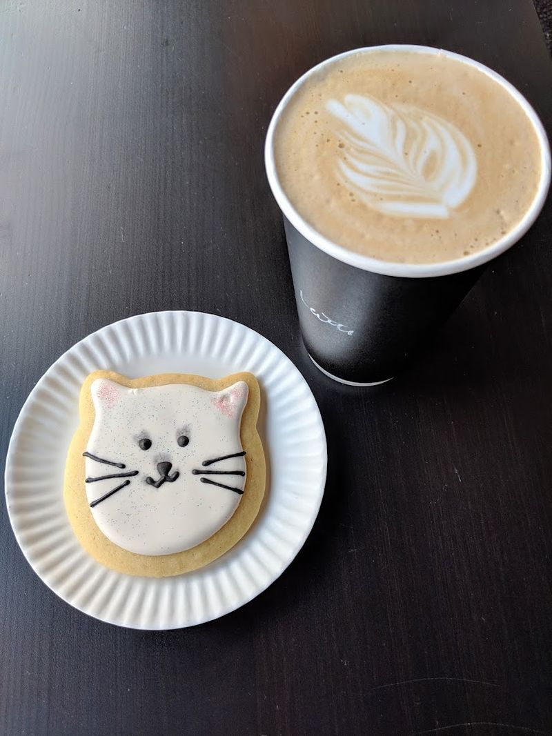 Coffee, Tea, And Fun Drinks To Try