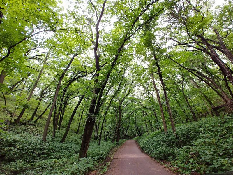Newton Hills State Park (Canton)