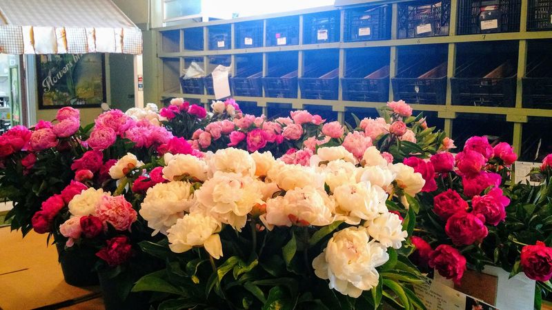 The Showroom and Fresh-cut Finds