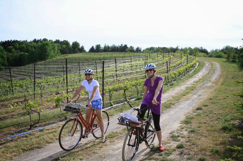 Bikes, Bays, and Easy Trails