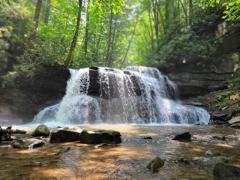Holly River State Park (Webster County)