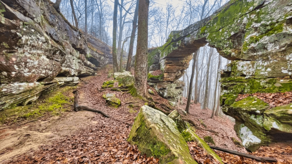 8 Hidden Geological Oddities Around Tennessee That Look Almost Unreal