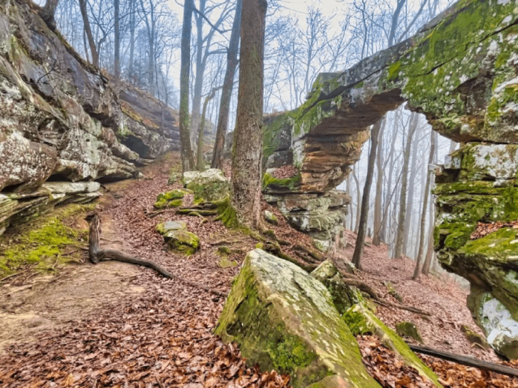 8 Hidden Geological Oddities Around Tennessee That Look Almost Unreal