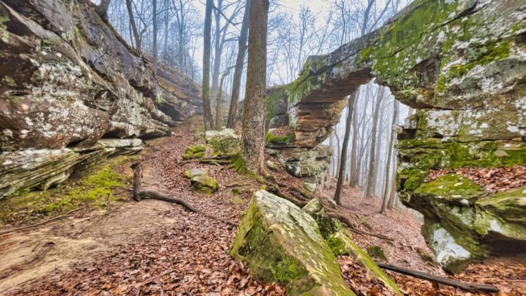 8 Hidden Geological Oddities Around Tennessee That Look Almost Unreal