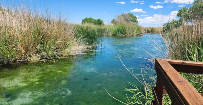 8 Texas Hidden Gems That Outshine the Famous Landmarks