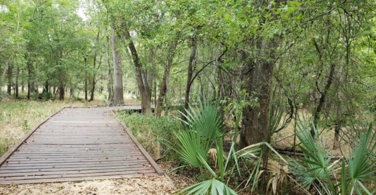 8 Unforgettable Texas Hikes Under 5 Miles Perfect for the Whole Family