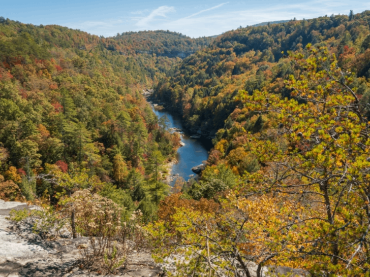 9 Gorgeous Tennessee Rivers Perfect for Your Next Kayaking Adventure