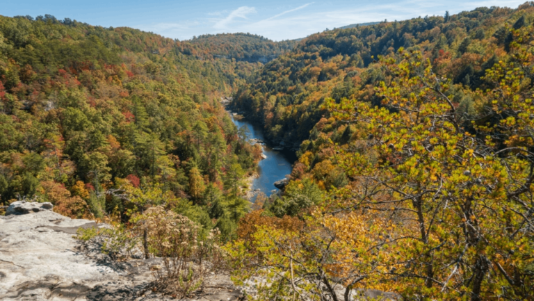 9 Gorgeous Tennessee Rivers Perfect for Your Next Kayaking Adventure