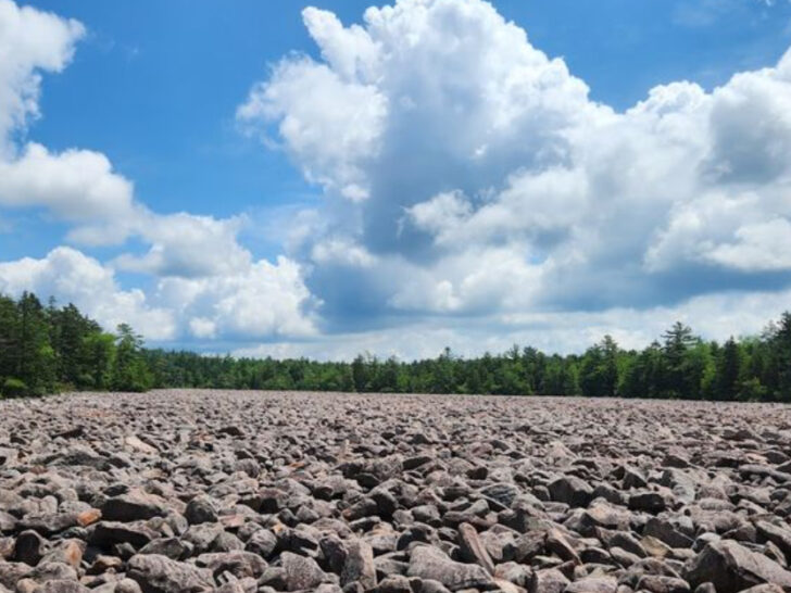 9 Scenic Pennsylvania Hikes Under 5 Miles That Impress Every Time